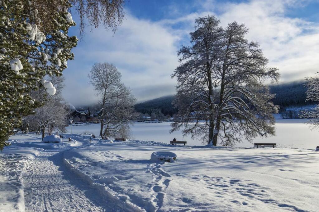 Waldloft Titisee Luaran gambar