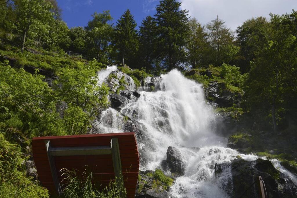 Waldloft Titisee Luaran gambar