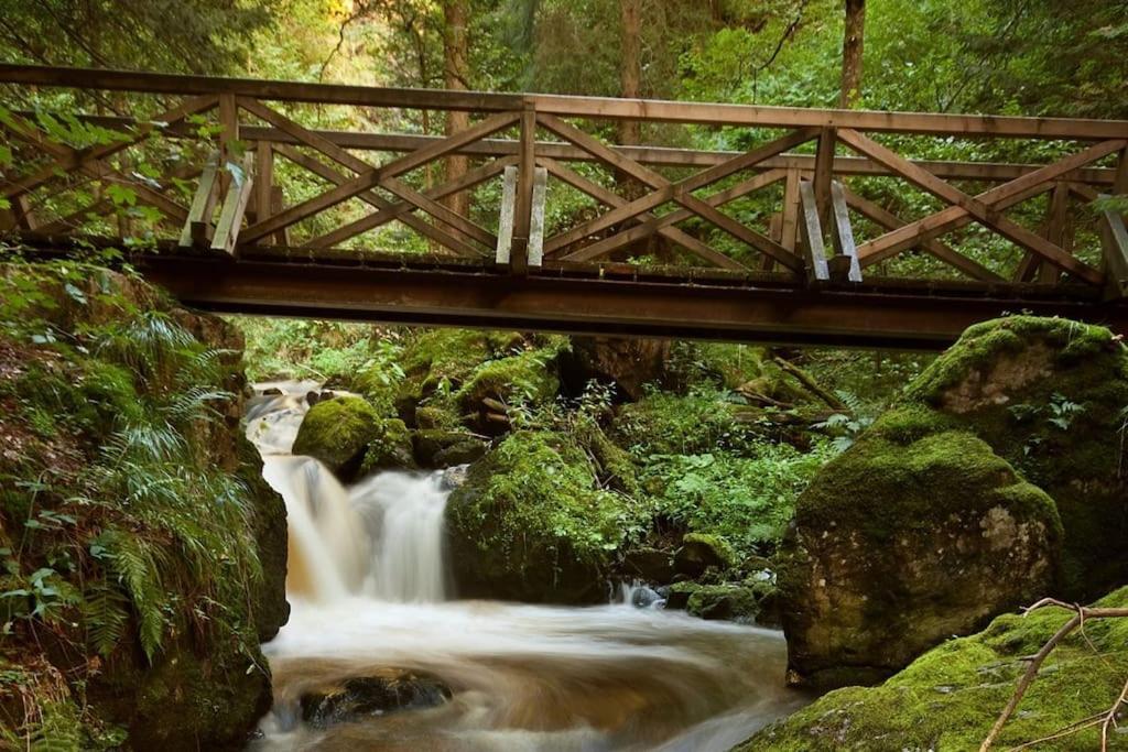 Waldloft Titisee Luaran gambar